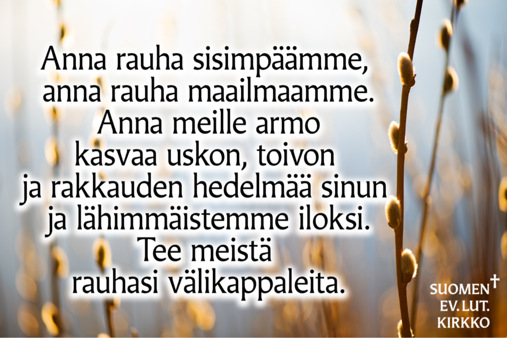 Pajunkissoja, taustana vaaleansinistä. Teksi: Anna rauha sisimpäämme, anna rauha maailmaamme. Anna meille armo kasvaa uskon, toivon ja rakkauden hedelmää sinun ja lähimmäistemme iloksi. Tee meistä rauhasi välikappaleita.